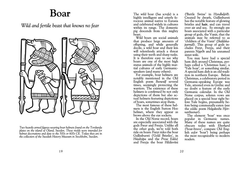 The Little Book of Viking Age Symbols by Jacqui Alberts, J. S. Hopkins, and Mathias Nordvig. Anglo-Saxon, Germanic, pagan, heathen, Norse image 3
