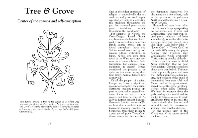 The Little Book of Viking Age Symbols by Jacqui Alberts, J. S. Hopkins, and Mathias Nordvig. Anglo-Saxon, Germanic, pagan, heathen, Norse image 5