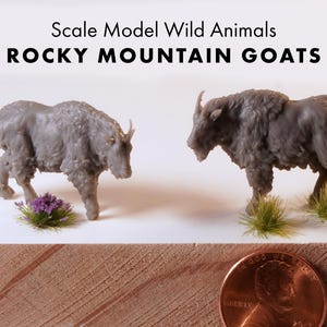 May include: Two scale model Rocky Mountain goats in gray, with textured fur, stand on a surface with small tufts of grass and purple flowers. The text "Scale Model Wild Animals ROCKY MOUNTAIN GOATS" is at the top.
