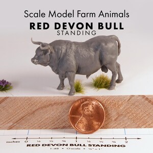 May include: A gray scale model Red Devon bull standing figure with small tufts of green grass and purple flowers. The text reads Scale Model Farm Animals RED DEVON BULL STANDING. A US penny is placed next to a ruler showing a 2-inch scale.