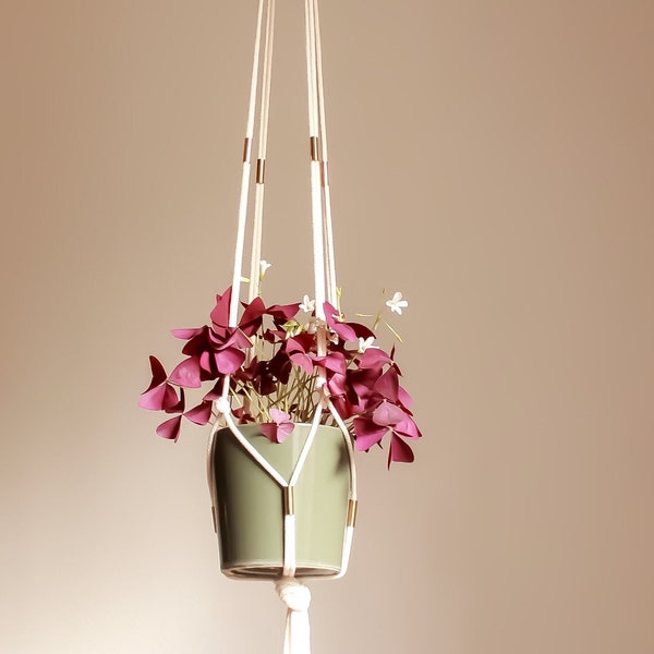 Suspension en macramé pour plantes