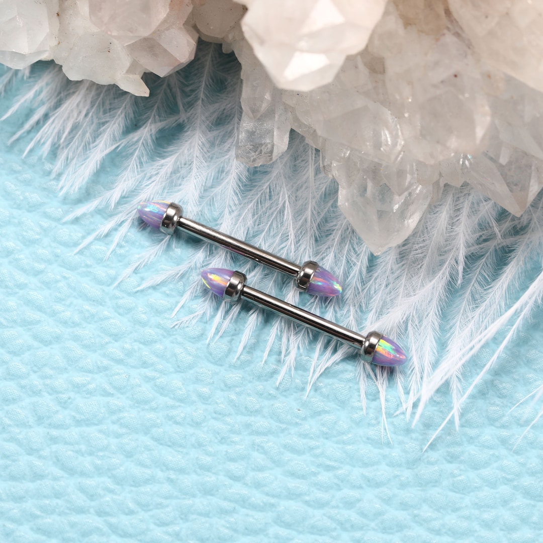 14 Gauge Nipple Rings for Women Nipple Barbells G23 Solid Etsy