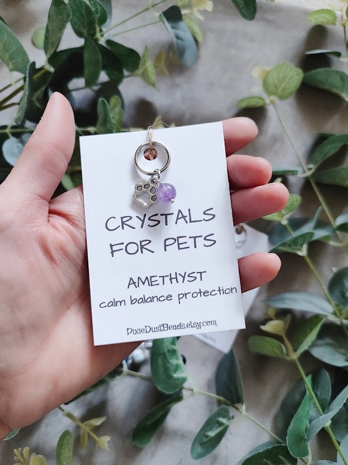 Collier Cristal Bichon Havanais - Chien Gravé - Crystal Animals - Neuf Avec étiquettes