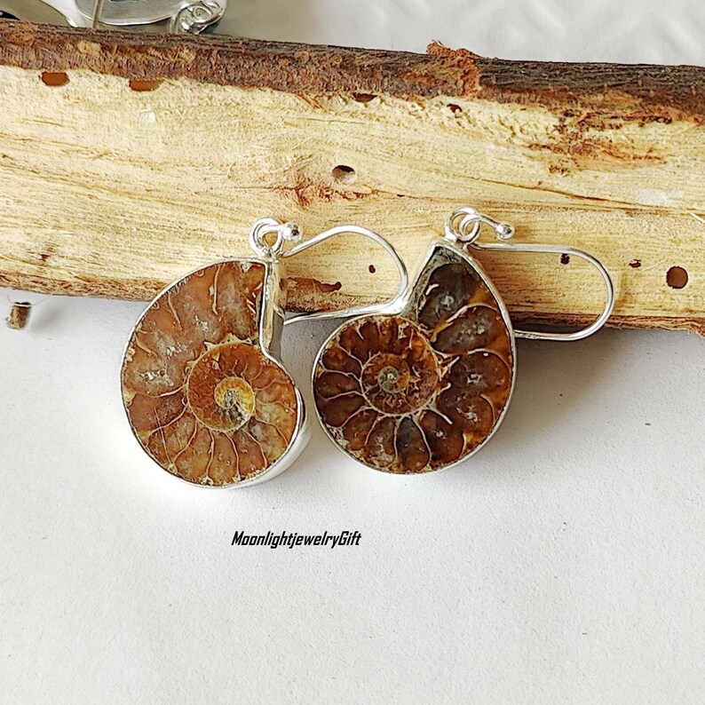 May include: A pair of silver earrings featuring fossilized ammonite shells. The earrings are a light brown color with a spiral pattern. The earrings are hanging from silver hooks.