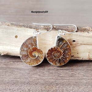May include: A pair of silver earrings featuring fossilized ammonite shells. The earrings have a brown and gold color with a spiral pattern.