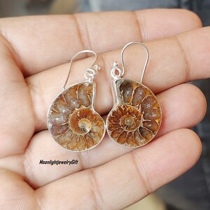 May include: A pair of silver earrings featuring fossilized ammonite shells. The earrings have a dangling design with a silver hook.