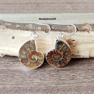 May include: A pair of silver earrings featuring fossilized ammonite shells. The earrings have a brown and white swirl pattern.