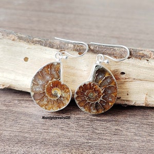 May include: A pair of silver earrings featuring fossilized ammonite shells. The earrings are a light brown color with a spiral pattern.