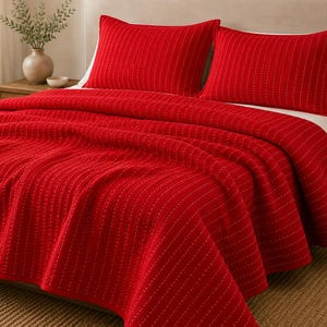 Red Kantha Quilt Comforter Set with Matching Shams  Cotton Quilt Bed Sheet, Lightweight All Season Bedding, Modern Quilt for Queen King Beds