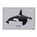 see more listings in the Individual Killer Whales section