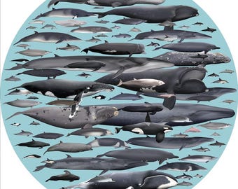 世界のクジラ（鯨類）デジタルダウンロードポスター - Etsy 日本