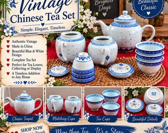 Vintage Tienshan Rice Grain Porcelain Tea Set - Fine China Teapots Cups Spoon Lot