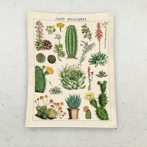 Tapiz para colgar en la pared, arte tejido a mano, tapiz de cactus, patrón de cactus, tapiz verde, tapiz de salón, decoración minimalista, tapiz de regalo,