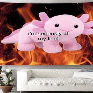 May include: A pink axolotl plush toy with the text "i'm seriously at my limit" is set against a background of orange and yellow flames.