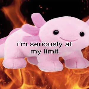 May include: A pink axolotl plush toy with a smiling face is set against a background of orange flames. The text "i'm seriously at my limit" is superimposed on the image.