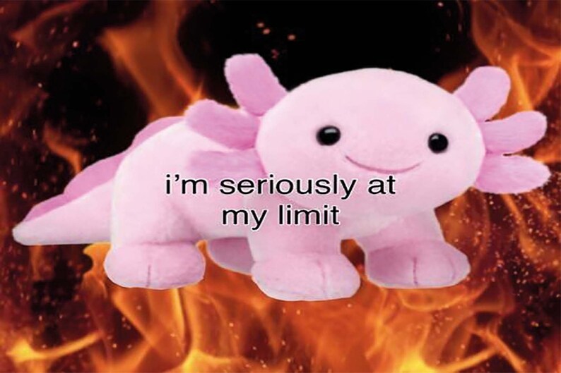 May include: A pink axolotl plush toy with a smiling face is set against a background of orange flames. The text "i'm seriously at my limit" is superimposed on the image.