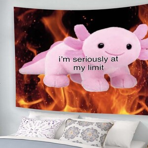 May include: A pink axolotl plush toy with a smiling face is set against a background of orange and yellow flames. The text "i'm seriously at my limit" is written on the image.