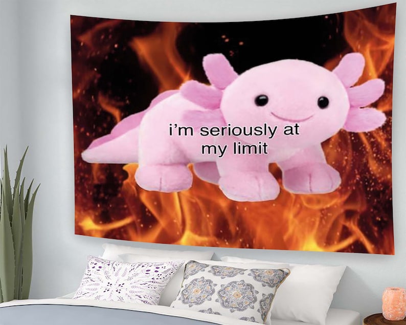 May include: A pink axolotl plush toy with a smiling face is set against a background of orange and yellow flames. The text "i'm seriously at my limit" is written on the image.