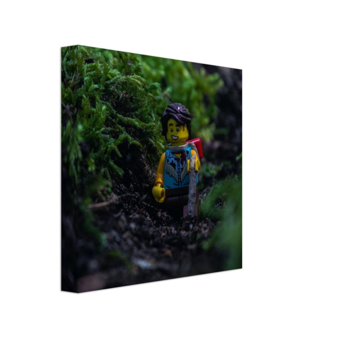 Lego Hiker Hiking Minifigure Nature Wall Art Custom Canvas - Etsy