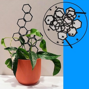 May include: A potted plant with green leaves in a terracotta pot. The plant is in front of a wall with a black geometric design and a black and white geometric design.