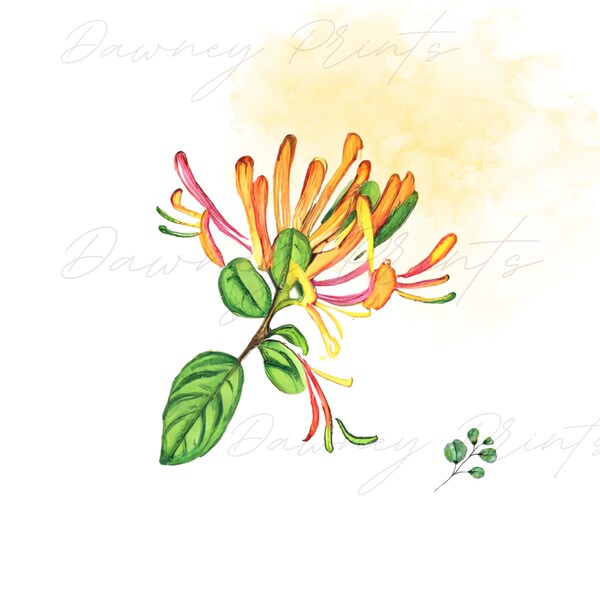 Watercolor Budget Art Etsy