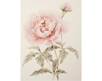 Peony Watercolor Painting Peonies Art Print Neutral Floral Wall Art Large Botanical Watercolor