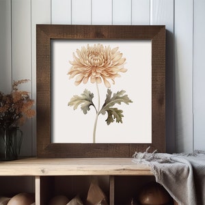 Chrysanthemum Painting Floral Watercolor Art Flower Art Print Aster Botanical Wall Art Farmhouse Wall Decor image 6