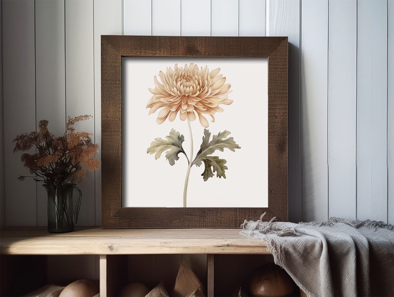 Chrysanthemum Painting Floral Watercolor Art Flower Art Print Aster Botanical Wall Art Farmhouse Wall Decor image 6