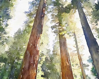 Humboldt Redwoods Painting National Park Watercolor Art Print Rockefeller Forest Print Evergreen Wall Art Hiking Poster
