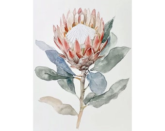 Protea pintura flor acuarela arte impresión botánica pared arte floral cartel rosa proteas arte primavera decoración de la pared