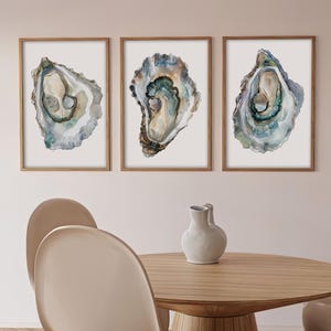May include: Three watercolor paintings of oyster shells in shades of blue, green, and brown. The paintings are framed in natural wood frames and are displayed on a white wall.