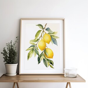 Op de afbeelding: Een aquarel schilderij van een citroen tak met drie gele citroenen en groene bladeren op een witte achtergrond.