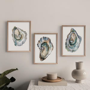 May include: Three framed watercolor paintings of oyster shells. The oyster shells are painted in shades of blue, green, and brown. The frames are a light wood color.