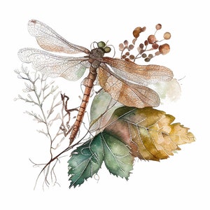 Dragonfly Watercolor Art Print From Original Painting Fall Leaves Wall Art Botanical Floral Print Neutral Brown Green