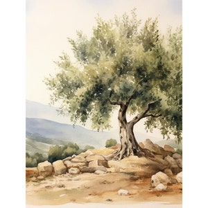 Dipinto di ulivo, paesaggio toscano, arte murale, pittura naturalistica italiana, arte murale rustica, decorazione murale