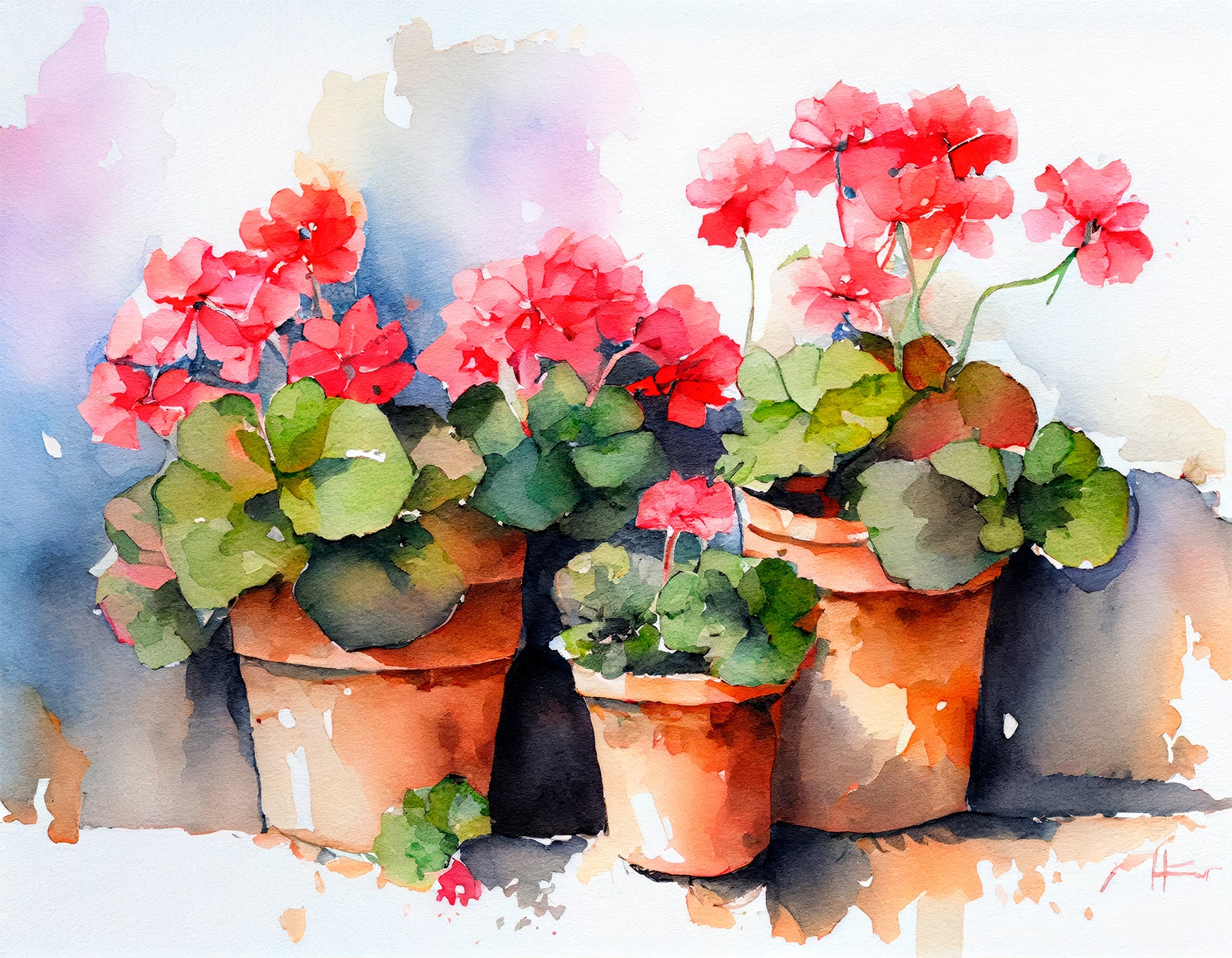 ゼラニウムの絵画 花の水彩画 アートプリント ゼラニウムの鉢 壁アート