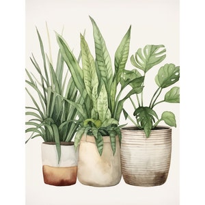 House Plant Print Botanical Watercolor Houseplant Painting Potted Monstera Wall Art Floral Art Print