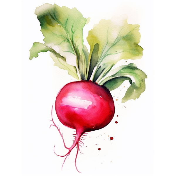 Kitchen Wall Art Radish Watercolor Painting Vegetables Art Print Rustic Wall Decor Modern Farmhouse Poster