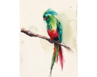 マンドリルの水彩画 ケツァールの鳥の絵画 鳥の水彩画 アートプリント 赤 緑の鳥 壁