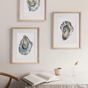 May include: Three framed watercolor paintings of oyster shells on a white wall. The oyster shells are painted in shades of brown, green, and blue.
