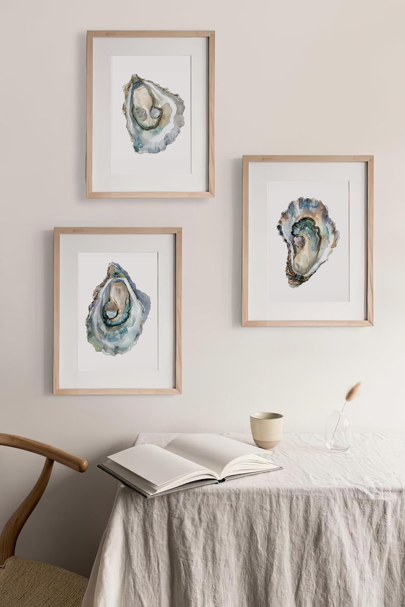 May include: Three framed watercolor paintings of oyster shells on a white wall. The oyster shells are painted in shades of brown, green, and blue.