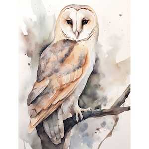 メンフクロウの絵画 鳥 水彩画 アートプリント 野生動物 壁アート 白いフクロウのポスター 農家の壁装飾