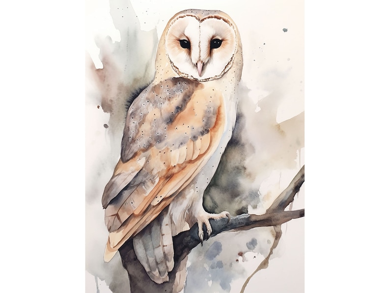 Barn Owl Painting Bird Watercolor Art Print Wild Animal Wall Art White Owl Poster Farmhouse Wall Decor