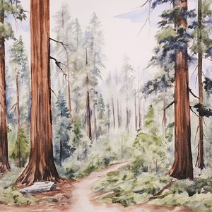 Mammutbaum Malerei Nationalpark Kunstdruck Kalifornische Landschaft Aquarell Riesenwald Bäume Wand Kunst Wandern Kunstwerk Weg Poster