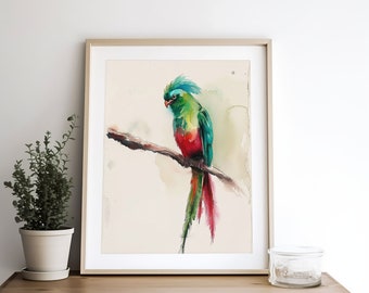 ケツァールの鳥の絵画 鳥の水彩画 アートプリント 赤 緑の鳥 壁アート