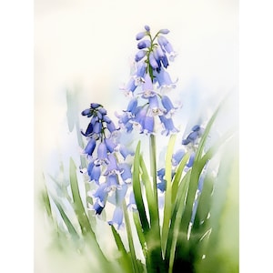 ブルーベルの絵画 花 水彩画プリント ブルーベル ウォールアート 植物プリント 大きな花柄ポスター