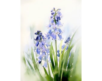 Bluebell Painting Flowers Watercolor Print Bluebells Wall Art Botanical Print Large Floral Poster