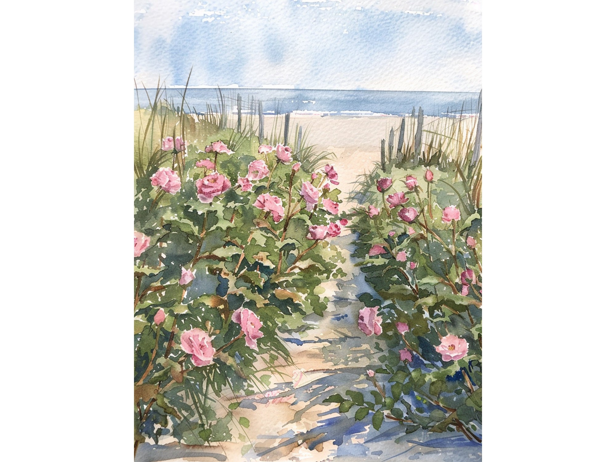 Cape Cod Painting Beach Roses Watercolor Art Print Coastal Wall