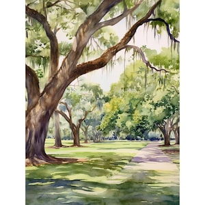 Audubon Park Painting Oak Watercolor New Orleans Art Print Louisiana Wall Art Green Trees Landscape Artwork