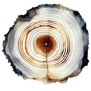 Oak Tree Ring Art Print Tree Ring Painting Watercolor Large Tree Ring Poster Blue Brown Color Tree Ring Minimalist Wall Art